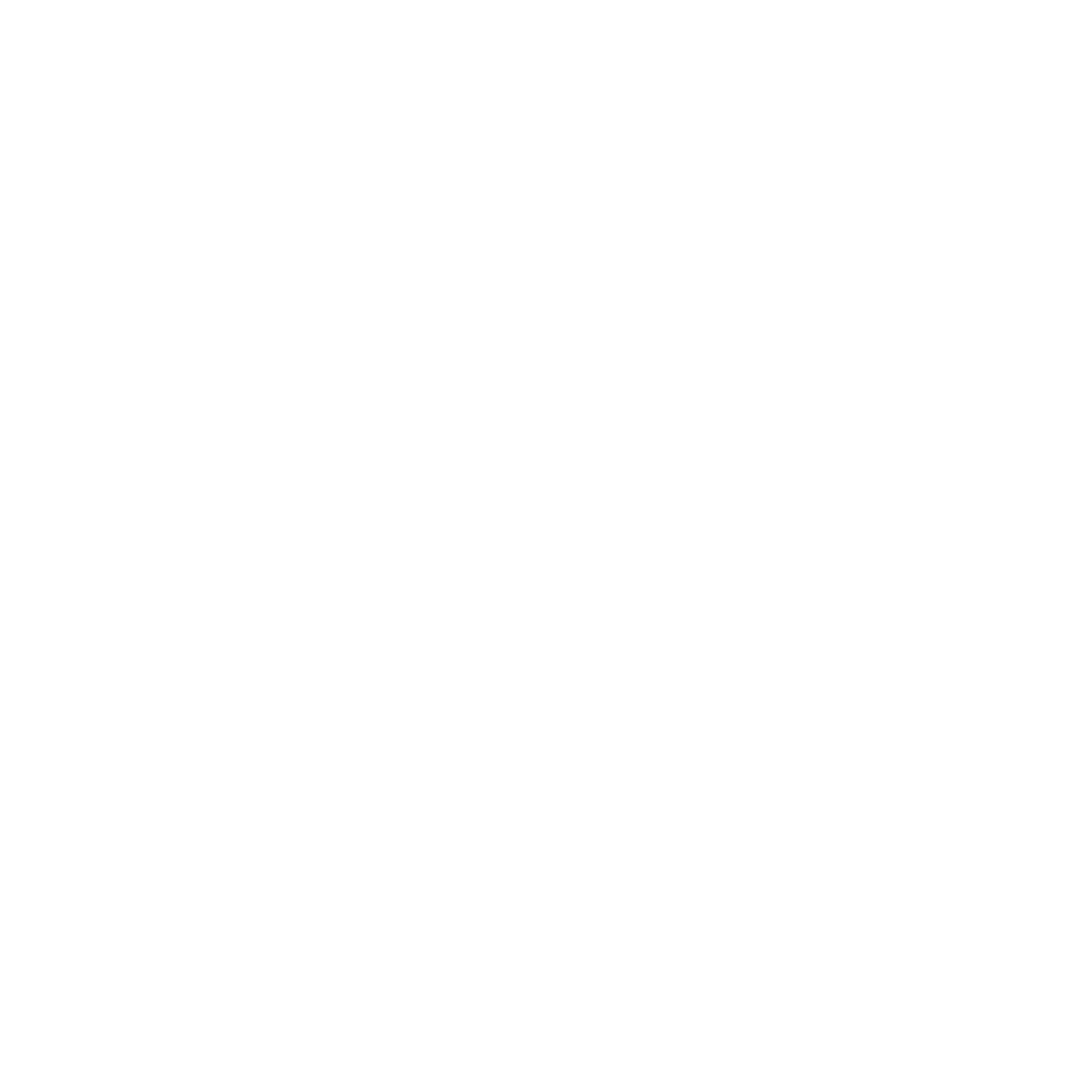 Digital Freedom Society - Logo White